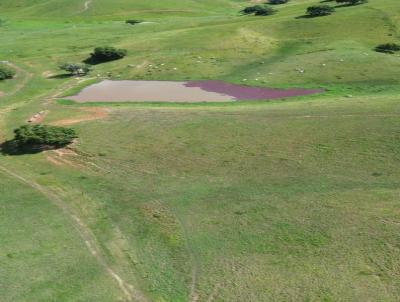 Fazenda para Venda, em Atalaia, bairro Zona Rural