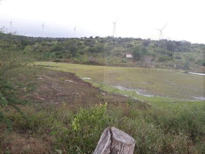 Fazenda para Venda, em Garanhuns, bairro Zona Rural
