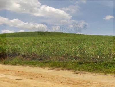 Fazenda para Venda, em Escada, bairro Zona Rural