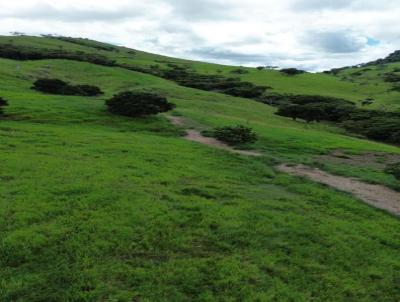 Fazenda para Venda, em Atalaia, bairro Zona Rural