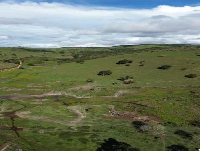 Fazenda para Venda, em Ch Preta, bairro Zona Rural