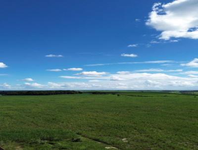 Fazenda para Venda, em Boca da Mata, bairro Zona Rural