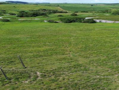 Fazenda para Venda, em Colnia Leopoldina, bairro Zona Rural