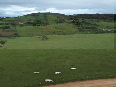 Fazenda para Venda, em Viosa, bairro Zona Rural
