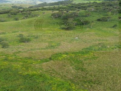 Fazenda para Venda, em Viosa, bairro Zona Rural