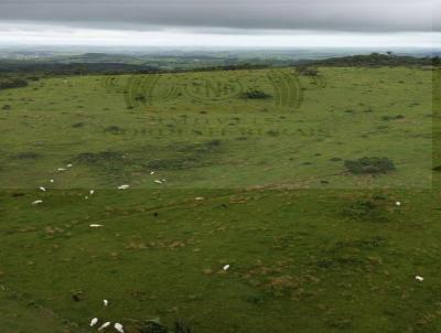 Fazenda para Venda, em Viosa, bairro Zona Rural