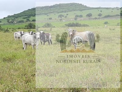 Fazenda para Venda, em So Bento do Una, bairro Zona Rural