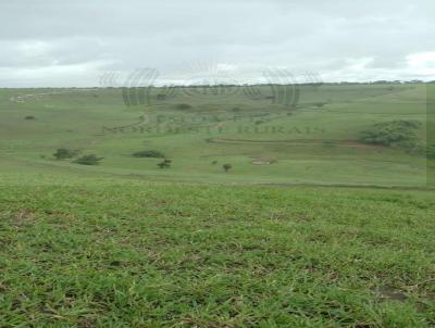 Fazenda para Venda, em Rio Largo, bairro Zona Rural