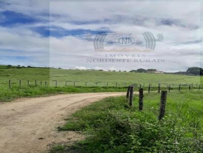 Fazenda para Venda, em Atalaia, bairro Zona Rural, 2 banheiros, 2 sutes