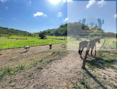 Stio / Chcara para Venda, em Unio dos Palmares, bairro Zona Rural, 3 dormitrios, 2 banheiros, 1 sute