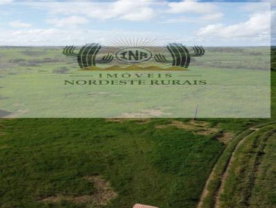 Fazenda para Venda, em Flexeiras, bairro Zona Rural