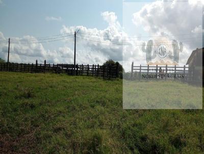 Fazenda para Venda, em Quebrangulo, bairro Zona Rural