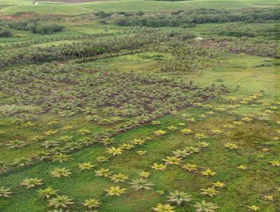Stio / Chcara para Venda, em Barra de Santo Antnio, bairro Zona Rural