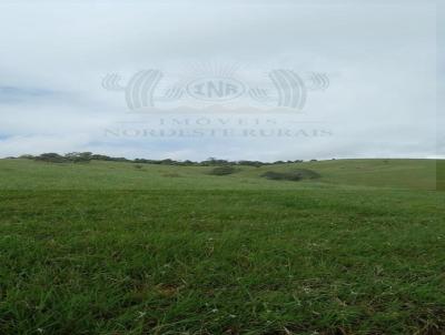 Fazenda para Venda, em Mar Vermelho, bairro 
