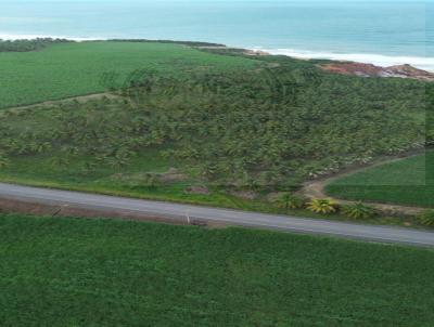 rea para Venda, em Jequi da Praia, bairro Zona Rural