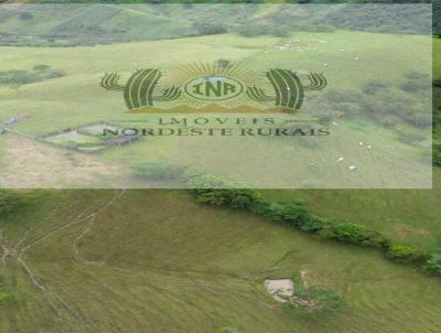 Fazenda para Venda, em Santana do Munda, bairro 