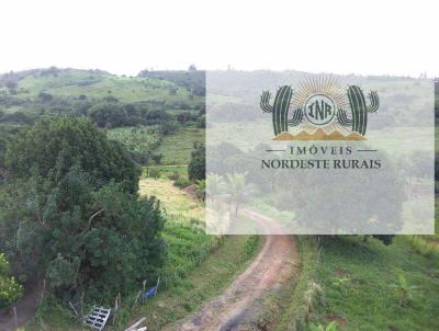 Stio para Venda, em Flexeiras, bairro Zona Rural