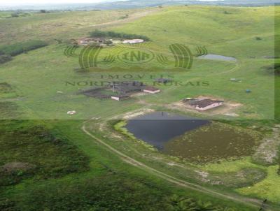Fazenda para Venda, em Viosa, bairro Zona Rural