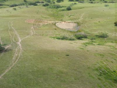 Fazenda para Venda, em Pindoba, bairro 