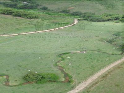 Fazenda para Venda, em Capela, bairro Zona Rural