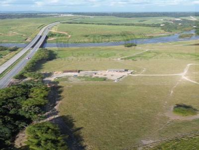 Fazenda para Venda, em Rio Largo, bairro Zona Rural