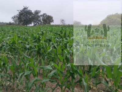 Fazenda para Venda, em Delmiro Gouveia, bairro Zona Rural