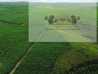 Fazenda para Venda, em Palmares, bairro Zona Rural