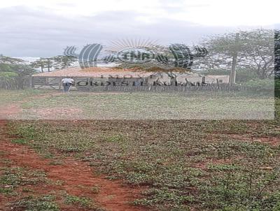 Fazenda para Venda, em Ibimirim, bairro Zona Rural