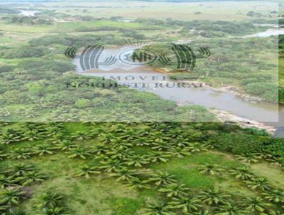 Fazenda para Venda, em Tamandar, bairro Zona Rural