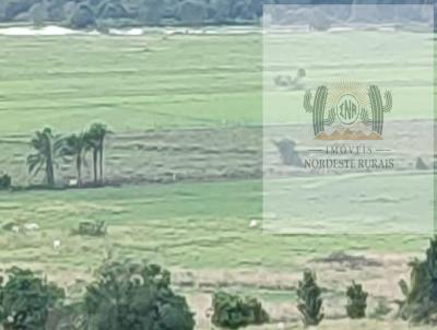 Fazenda para Venda, em Igreja Nova, bairro Zona Rural