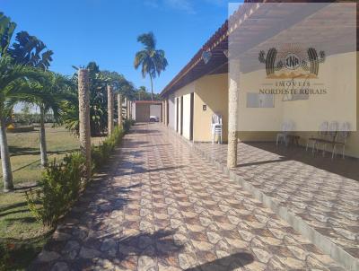 Stio / Chcara para Venda, em Barra de Santo Antnio, bairro Centro, 3 dormitrios, 4 banheiros, 2 sutes