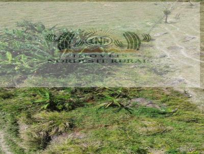 Stio para Venda, em Unio dos Palmares, bairro Zona Rural