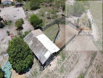 Fazenda para Venda, em Canhotinho, bairro 