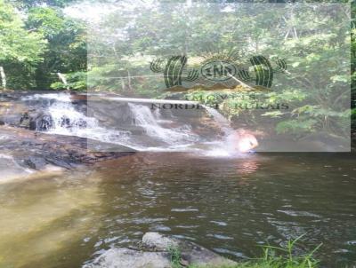Fazenda para Venda, em Joaquim Gomes, bairro Zona Rural