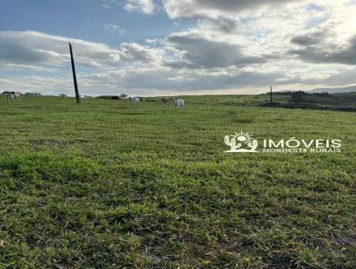 Fazenda para Venda, em Joaquim Gomes, bairro Zona Rural