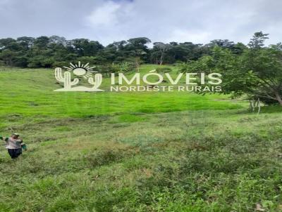 Stio / Chcara para Venda, em Viosa, bairro Zona Rural