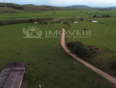 imagem-miniatura