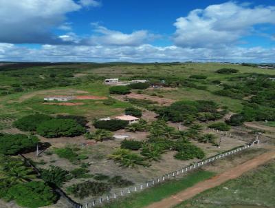 Chcara para Venda, em Flexeiras, bairro Zona Rural