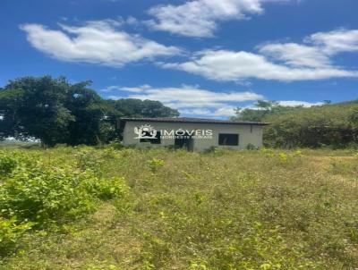 Stio / Chcara para Venda, em Viosa, bairro Zona Rural