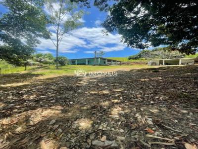 Fazenda para Venda, em Viosa, bairro Zona Rural