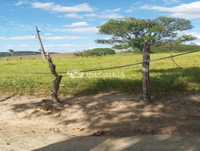 Fazenda para Venda, em Ch Preta, bairro Zona Rural