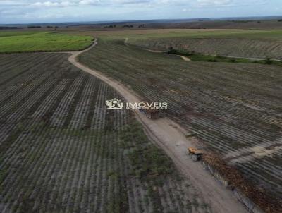Fazenda para Venda, em Porto Calvo, bairro Zona Rural