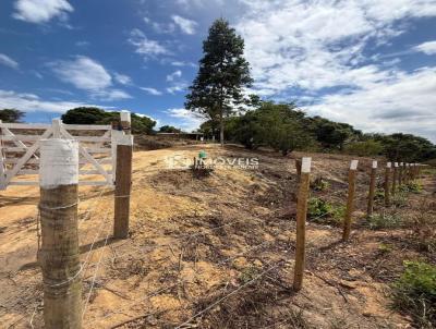 S�tio para Venda, em S�o Lu�s do Quitunde, bairro Zona Rural