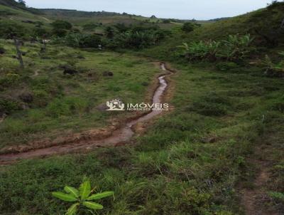 S�tio para Venda, em Vi�osa, bairro Zona Rural