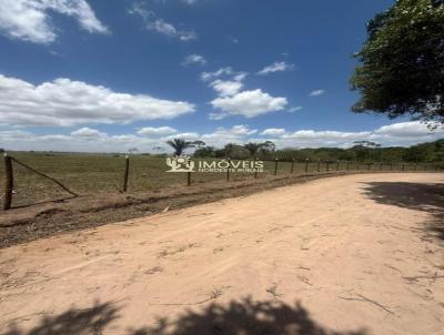S�tio para Venda, em S�o Lu�s do Quitunde, bairro Zona Rural