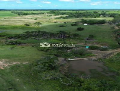 Fazenda para Venda, em Macei�, bairro Zona Rural