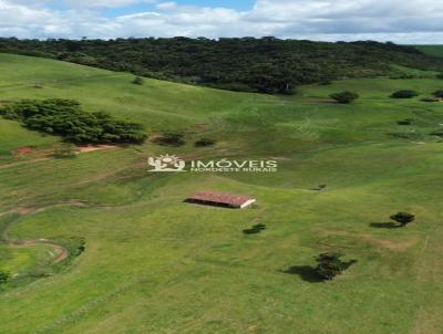 Fazenda para Venda, em Macei�, bairro Zona Rural