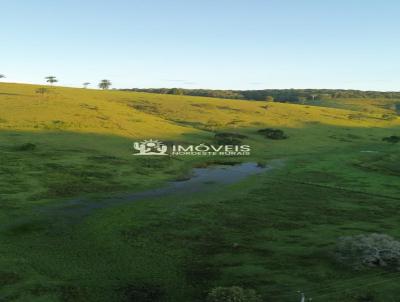 Fazenda para Venda, em Matriz de Camaragibe, bairro Zona Rural