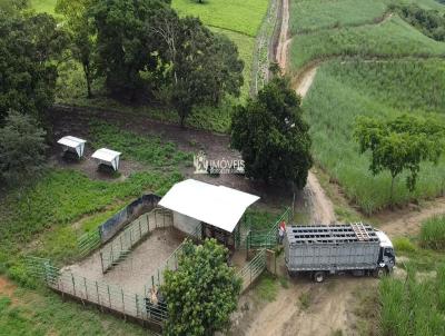 Fazenda para Venda, em Palmares, bairro Zona Rural