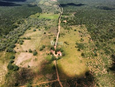 Fazenda para Venda, em Inaj�, bairro Zona Rural